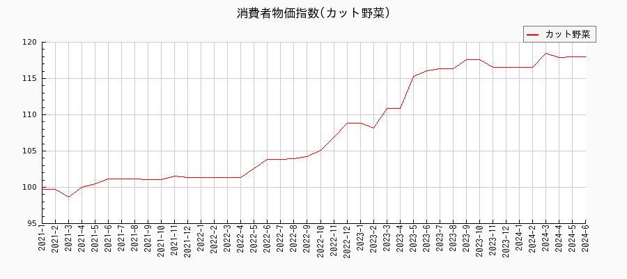 東京都区部のカット野菜に関する消費者物価(月別／全期間)の推移