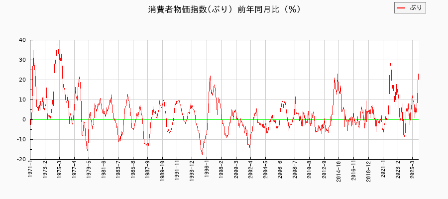 ぶりに関する消費者物価(月別/全期間)の推移