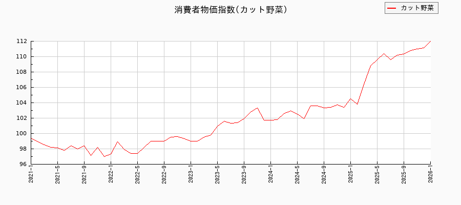 カット野菜に関する消費者物価(月別/全期間)の推移