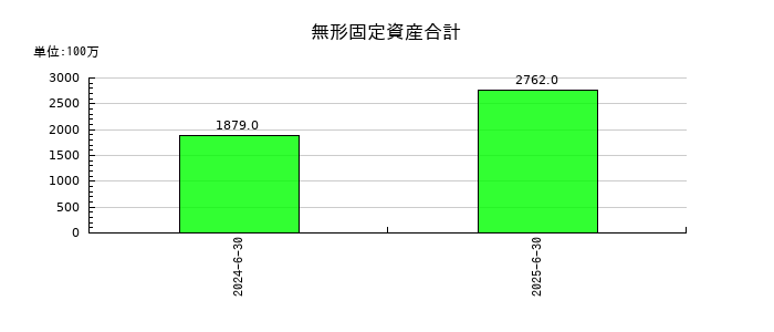 トライアルホールディングスの無形固定資産合計の推移