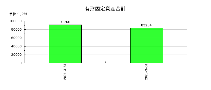 ジンジブの有形固定資産合計の推移