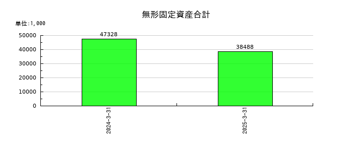 ジンジブの無形固定資産合計の推移