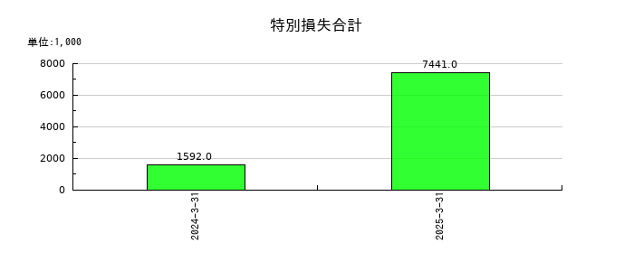 ジンジブの特別損失合計の推移