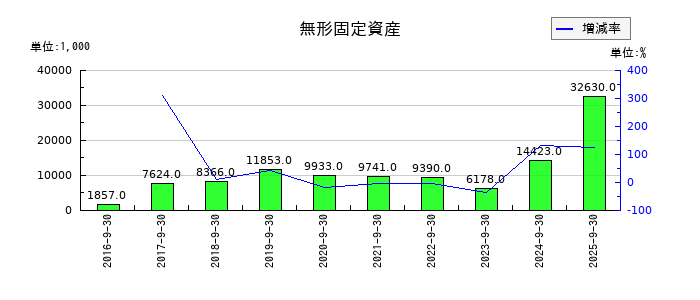 岐阜造園の無形固定資産の推移