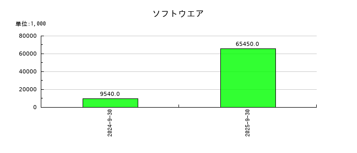 タスキホールディングスのソフトウエアの推移