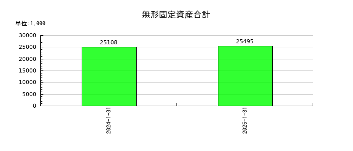イタミアートの無形固定資産合計の推移