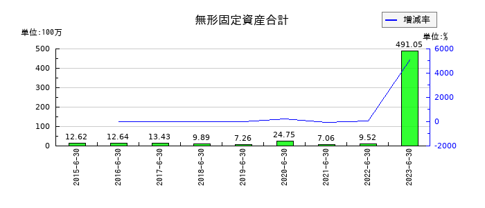 メルディアDCの無形固定資産合計の推移