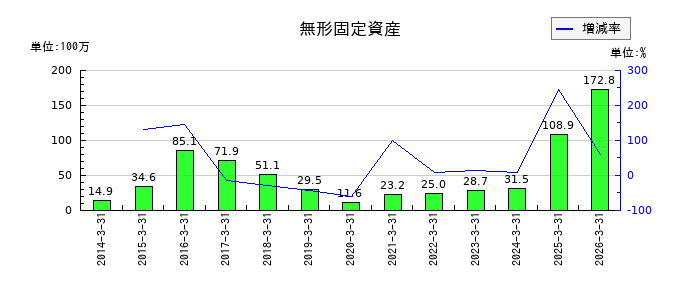 ソネックの無形固定資産の推移