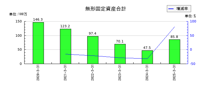 守谷商会の無形固定資産合計の推移