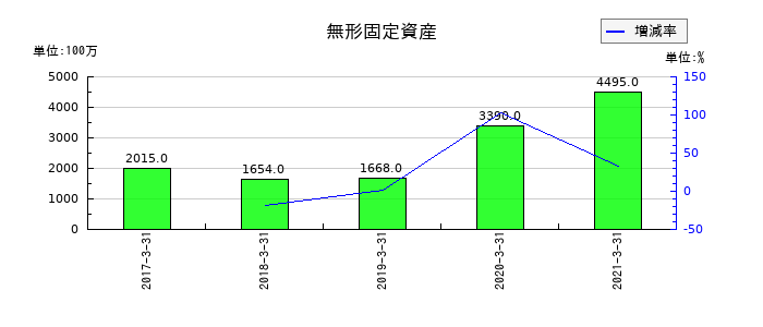 NIPPOの無形固定資産の推移