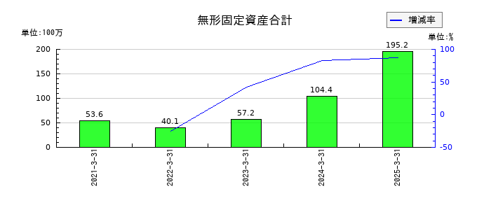 テノックスの無形固定資産合計の推移
