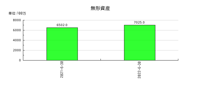 日本工営の無形資産の推移