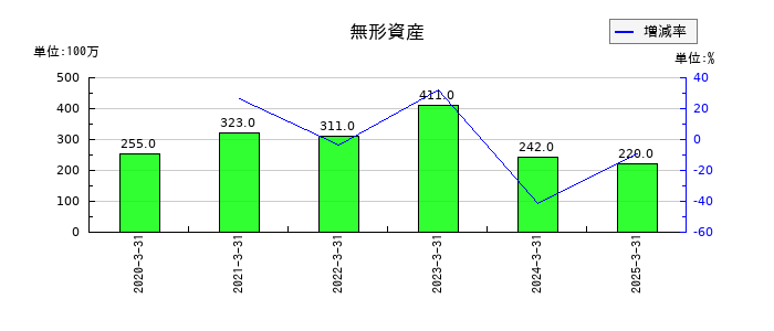 ウェルネオシュガーの無形資産の推移