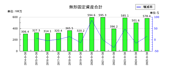 インタースペースの無形固定資産合計の推移