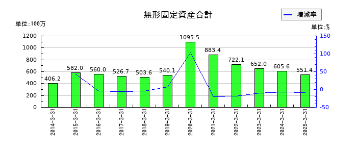 ｎｍｓ　ホールディングスの無形固定資産合計の推移