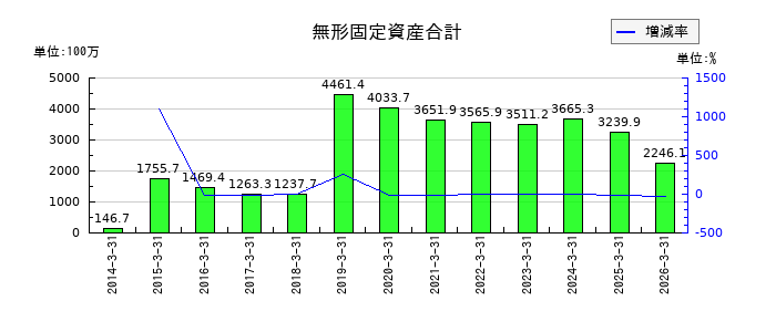 リニカルの無形固定資産合計の推移