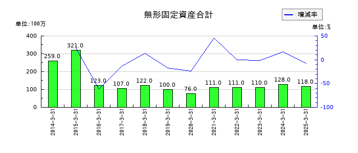 ゲンダイエージェンシーの無形固定資産合計の推移