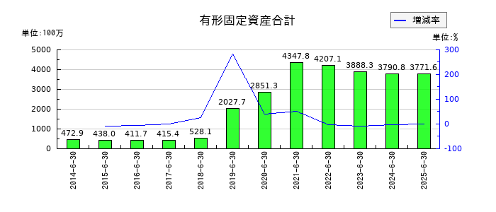 ウェルネットの有形固定資産合計の推移