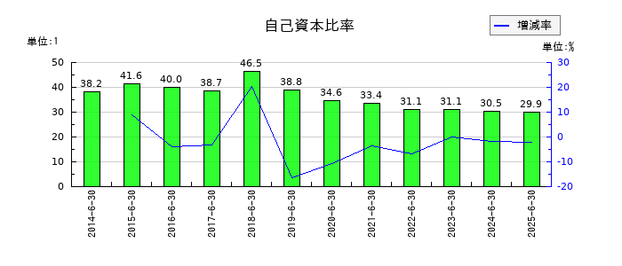 ウェルネットの自己資本比率の推移