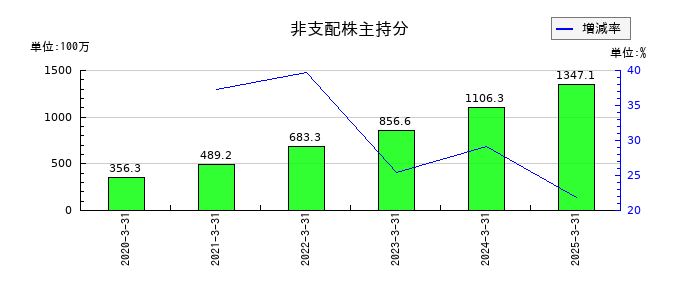 WDBホールディングスの非支配株主持分の推移