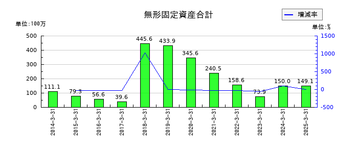 WDBホールディングスの無形固定資産合計の推移
