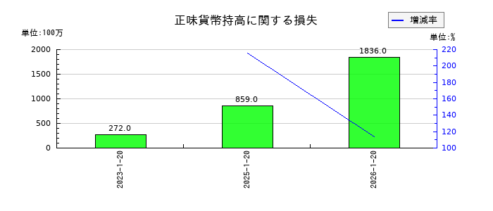 ダイドーグループホールディングスの正味貨幣持高に関する損失の推移