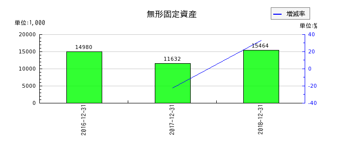 日本ライトンの無形固定資産の推移