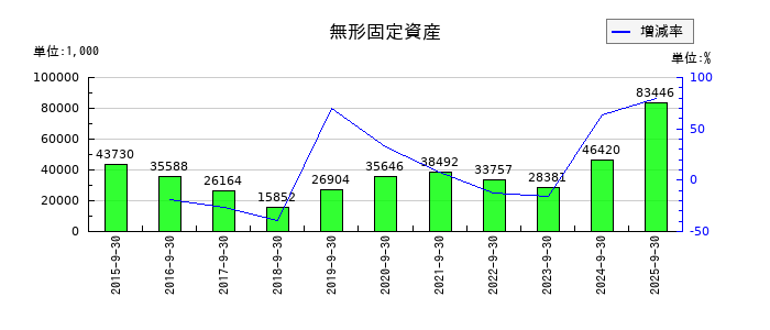 大森屋の無形固定資産の推移