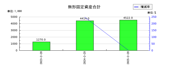 ベースフードの無形固定資産合計の推移