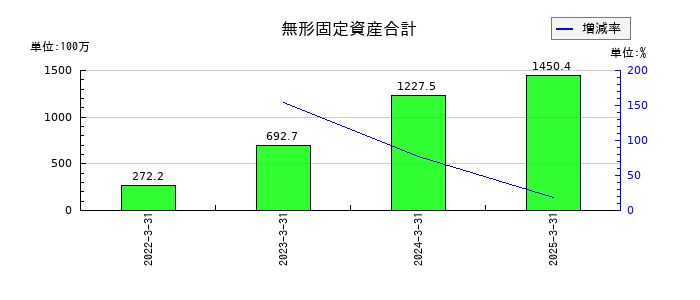 ヤマイチエステートの無形固定資産合計の推移