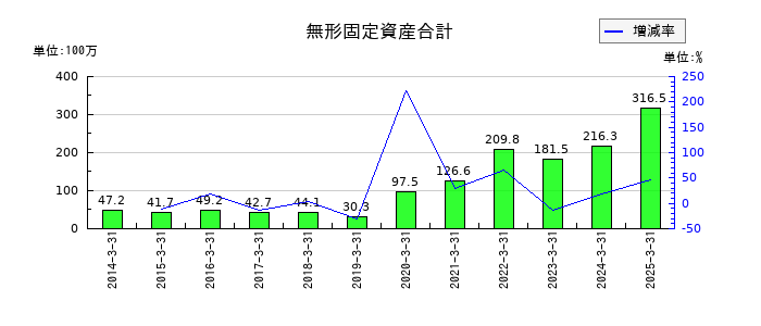 ゴルフ・ドゥの無形固定資産合計の推移