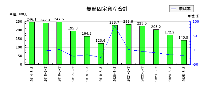 WDIの無形固定資産合計の推移