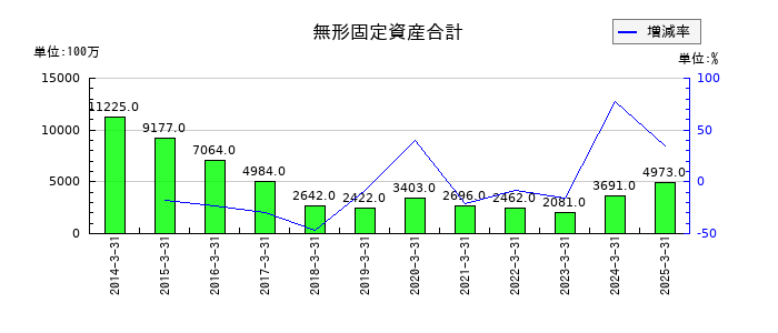 ダイワボウホールディングスの無形固定資産合計の推移