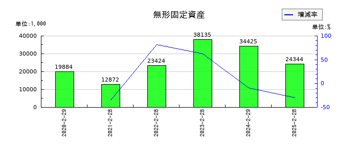 ありがとうサービスの無形固定資産の推移