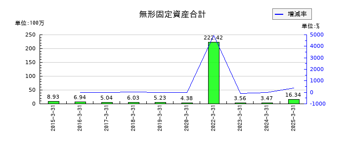 ヨシックスホールディングスの無形固定資産合計の推移