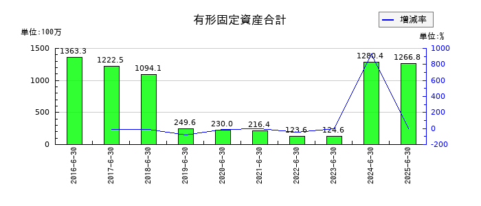 デュアルタプの有形固定資産合計の推移