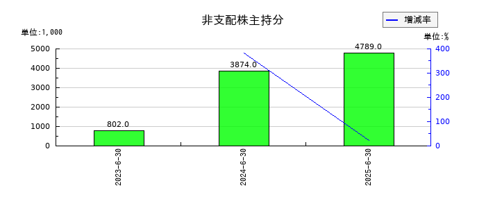 デュアルタプの非支配株主持分の推移