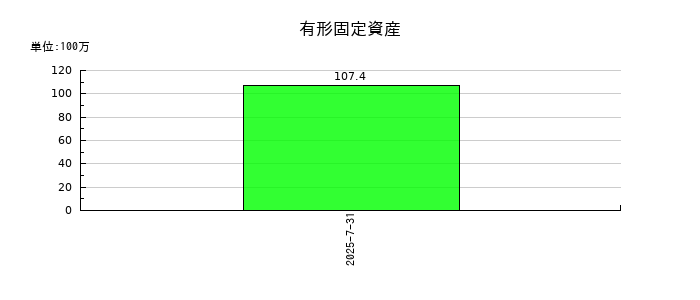 デジタルグリッドの有形固定資産の推移