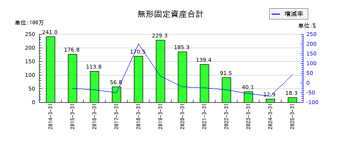 日本フエルトの無形固定資産合計の推移