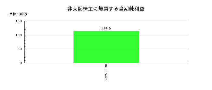ウイルプラスホールディングスの非支配株主に帰属する当期純利益の推移