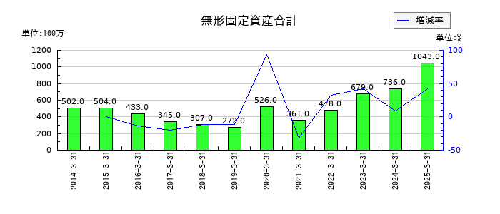 共和レザーの無形固定資産合計の推移