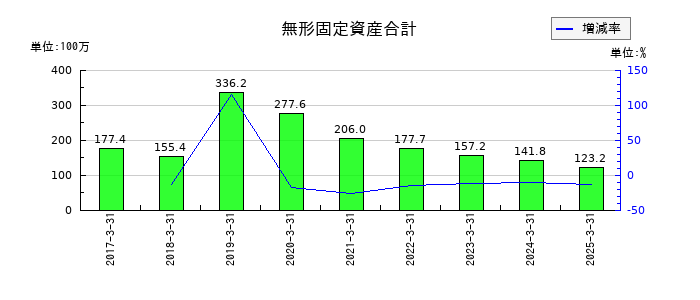 力の源ホールディングスの無形固定資産合計の推移