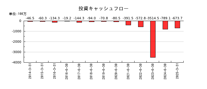 データホライゾンの投資キャッシュフロー推移