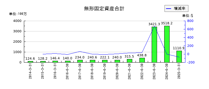 データホライゾンの無形固定資産合計の推移