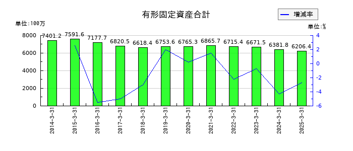 電算の有形固定資産合計の推移