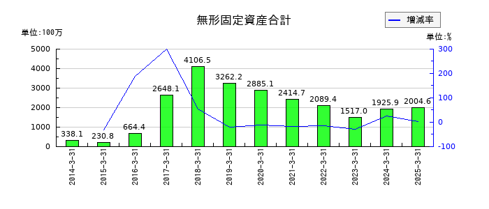電算の無形固定資産合計の推移
