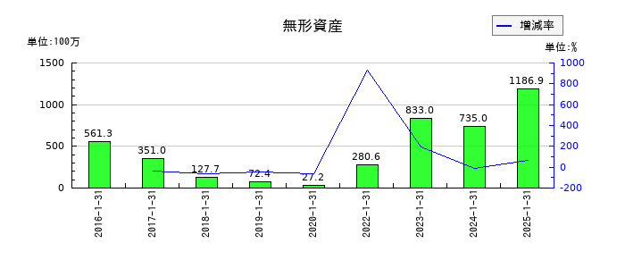 ポールトゥウィンホールディングスの無形固定資産合計の推移