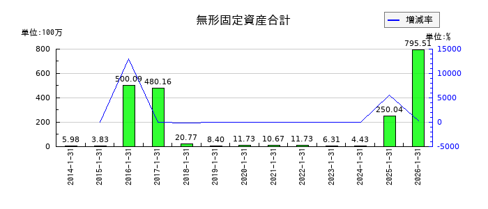 エニグモの無形固定資産合計の推移