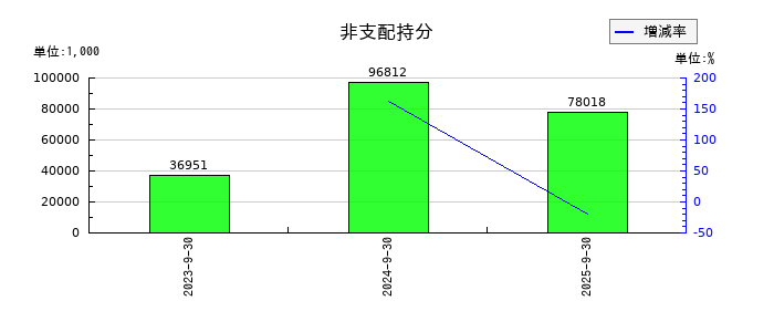 デジタルプラスの借入金の推移