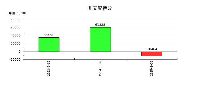 デジタルプラスの非支配持分の推移